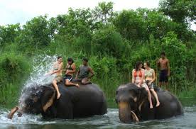 2 Nights 3 Days Chitwan Tour